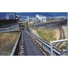 Băng tải dây chuyền phân loại Băng tải dây chuyền phân loại